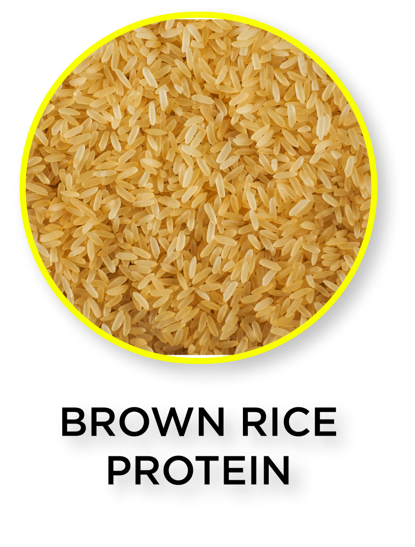 Brown rice protein